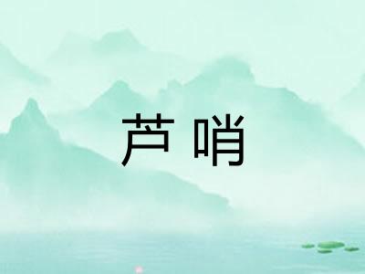 芦哨