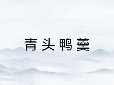 青头鸭羹