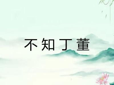不知丁董