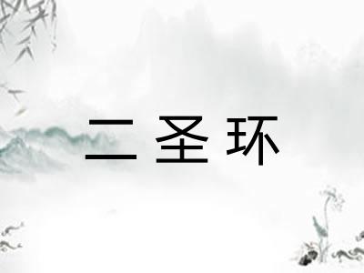 二圣环