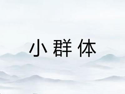 小群体