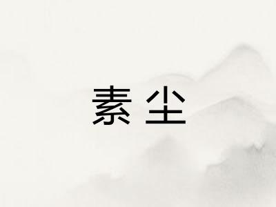 素尘