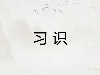 习识