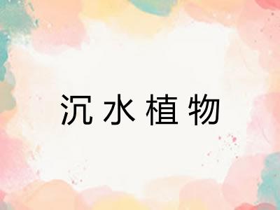 沉水植物