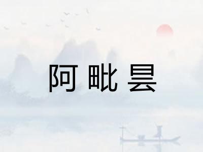 阿毗昙