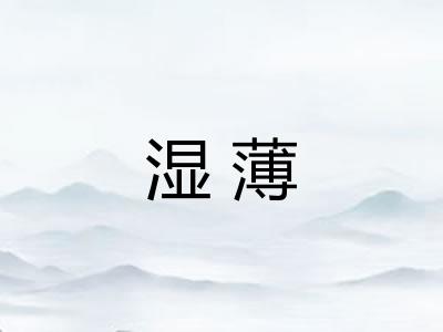 湿薄