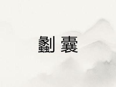 劙囊