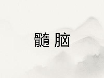 髓脑