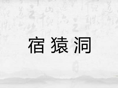 宿猿洞