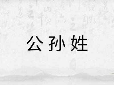 公孙姓