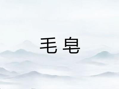 毛皂