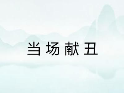 当场献丑