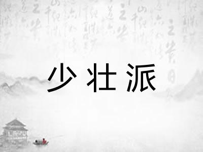 少壮派