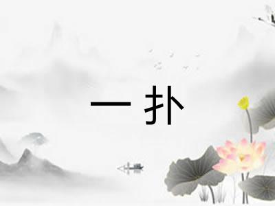 一扑