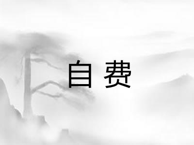 自费
