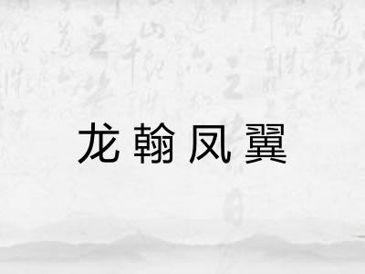 龙翰凤翼