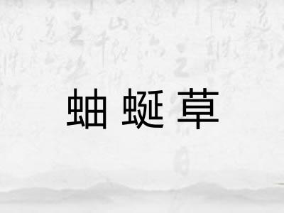 蚰蜒草