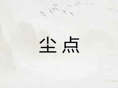 尘点