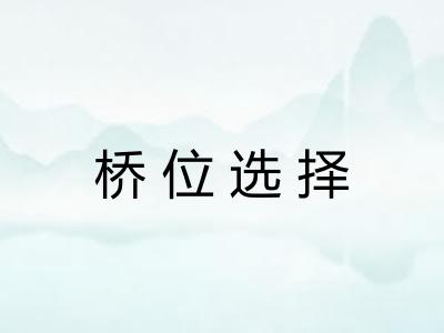 桥位选择
