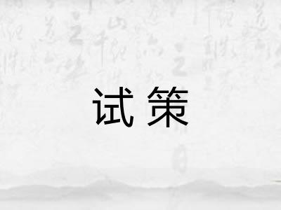 试策
