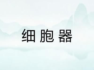细胞器