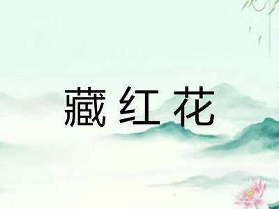 藏红花