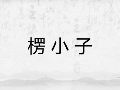 楞小子