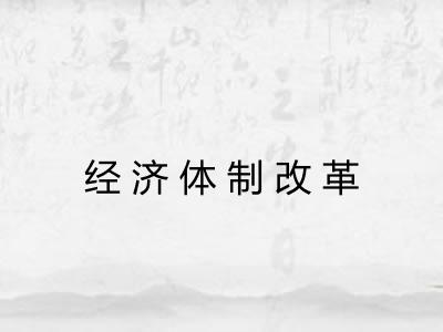 经济体制改革