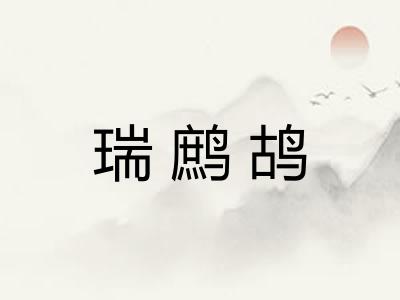 瑞鹧鸪