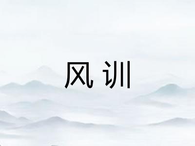 风训 风训