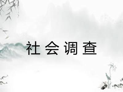 社会调查