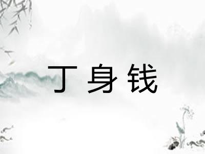 丁身钱 丁身钱