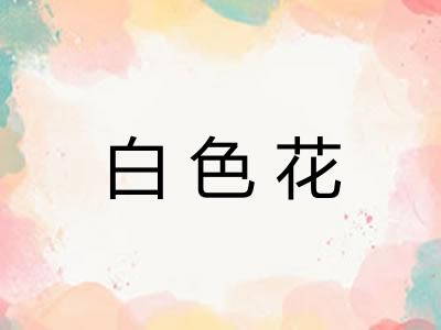 白色花 白色花