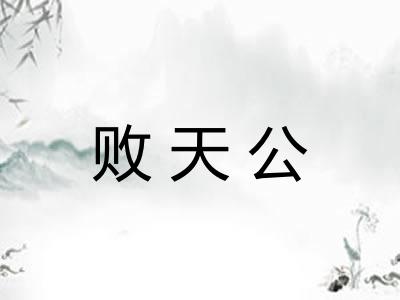 败天公