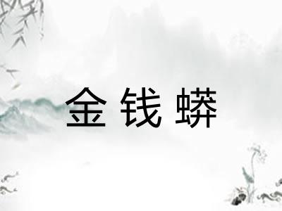 金钱蟒