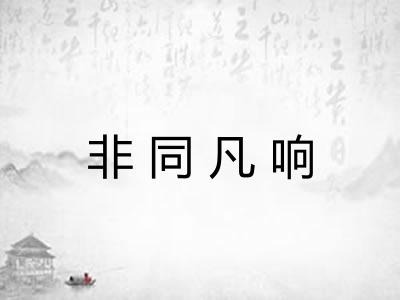 非同凡响