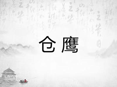 仓鹰