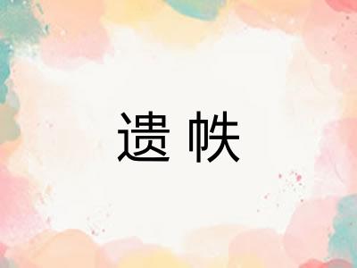 遗帙