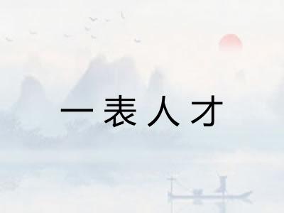 一表人才