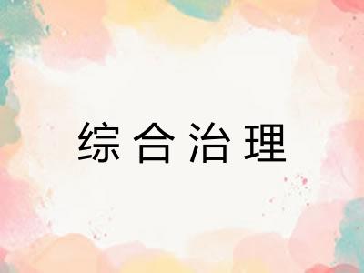 综合治理