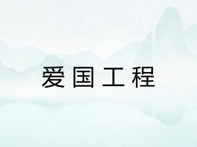 爱国工程