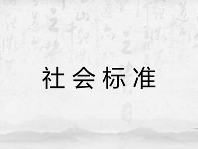 社会标准