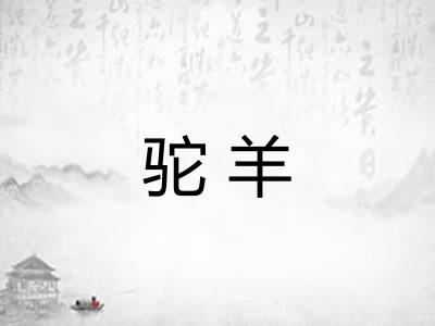 驼羊