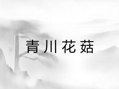 青川花菇