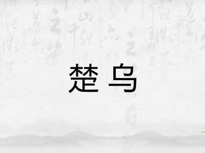 楚乌