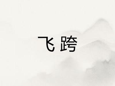飞跨