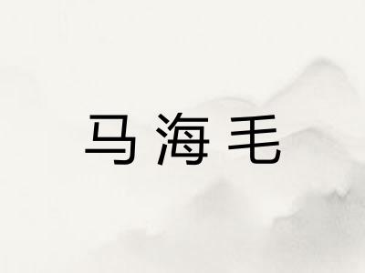 马海毛