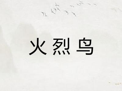 火烈鸟 火烈鸟