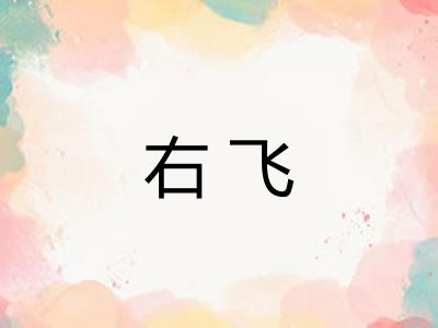 右飞 右飞