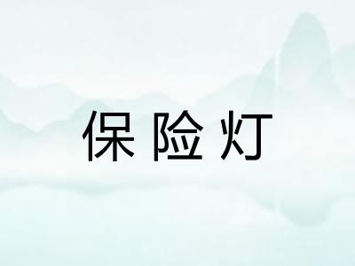 保险灯